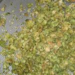 first_wort_hops-32281-F