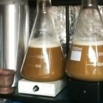 yeast-starter-55538-F